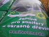Zemina pro konifery