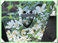 Pustoryl /různé druhy/